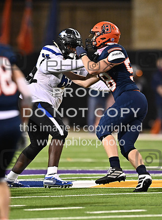 DLS_4378