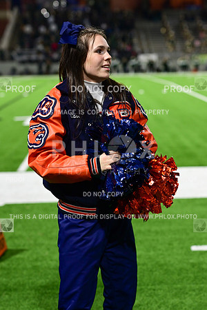 TOM_6918