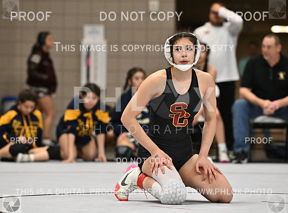 DLS_4846