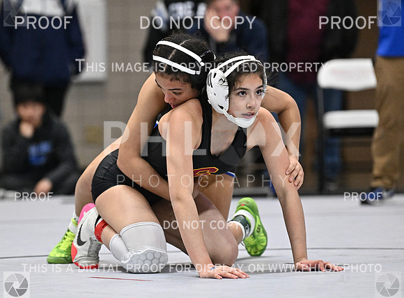 DLS_4009