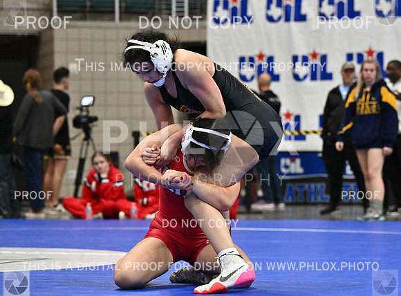 DLS_5531
