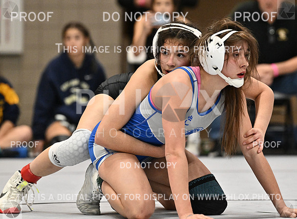 DLS_4869