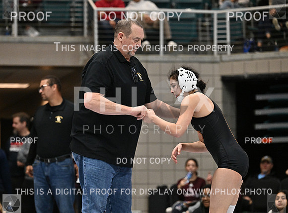 DLS_4842