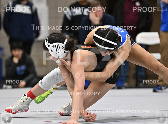 DLS_4010