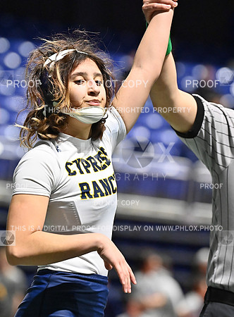 DLS_8185