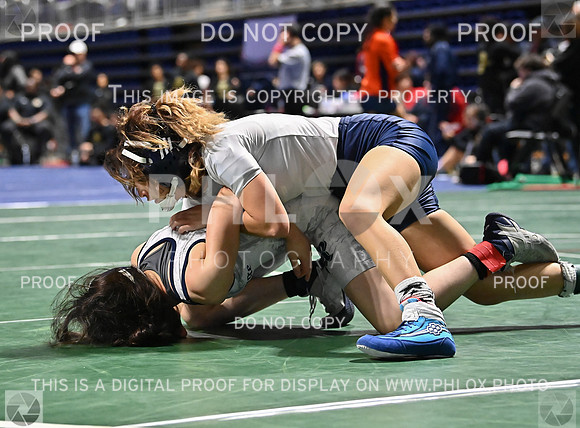 DLS_8151