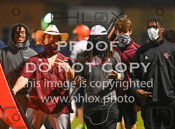 DLS_7433