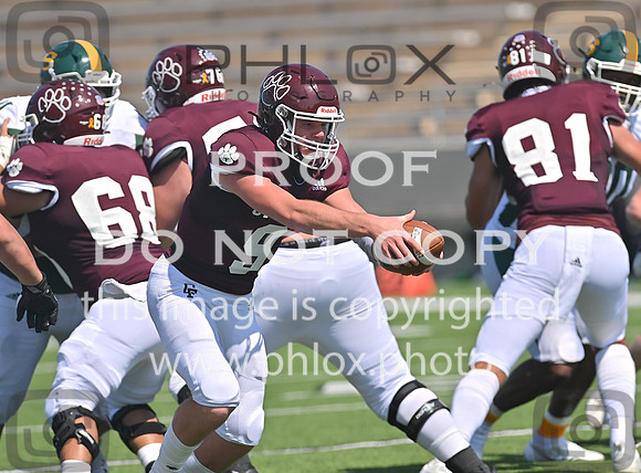 DLS_0035
