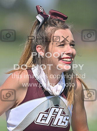 DLS_0195