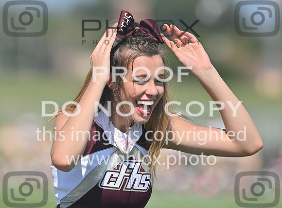 DLS_0199