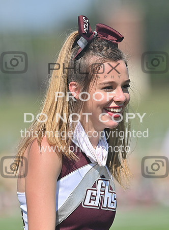 DLS_0204
