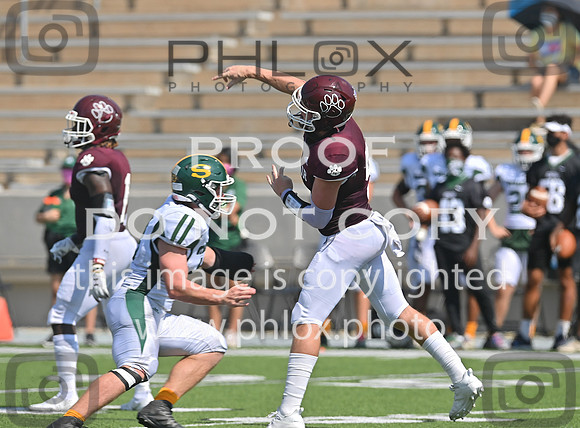 DLS_0088