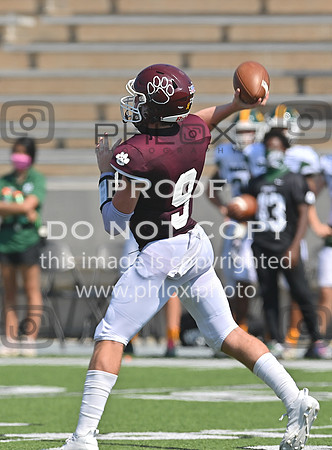 DLS_0087