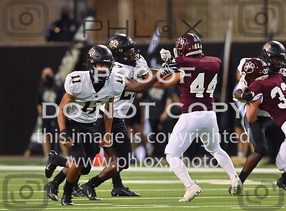 DLS_7303