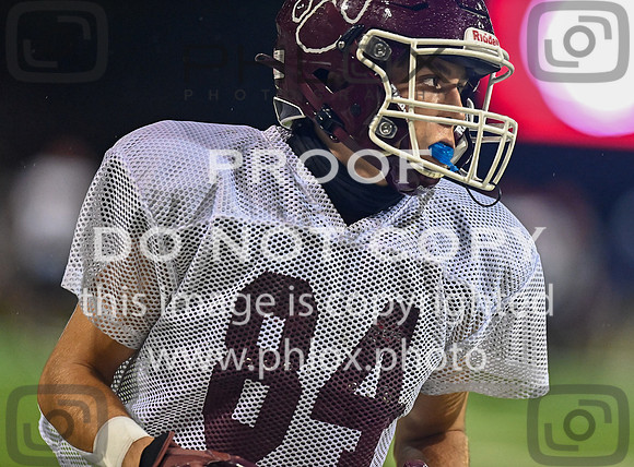DLS_8090