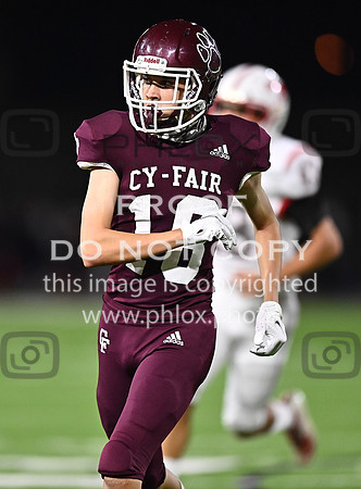 DLS_8905