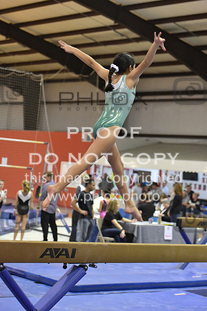 D85_0276