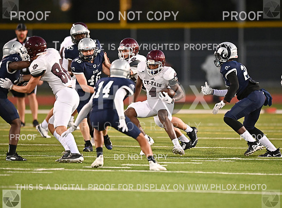 DLS_0527