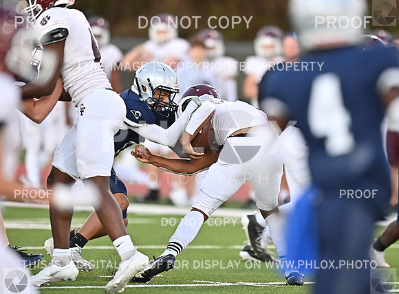 DLS_0406