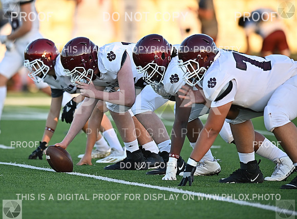 DLS_0290