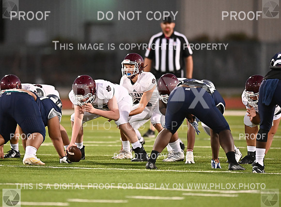 DLS_0530