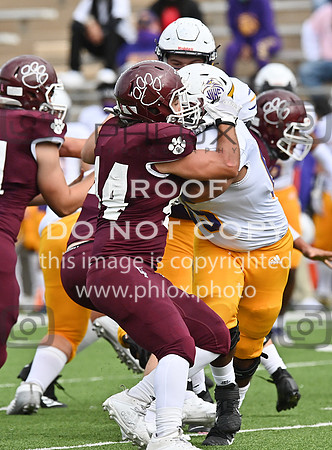 DLS_0378