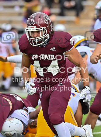 DLS_0320