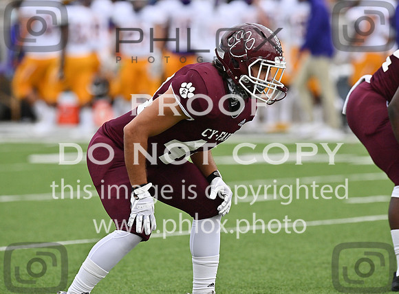 DLS_0031
