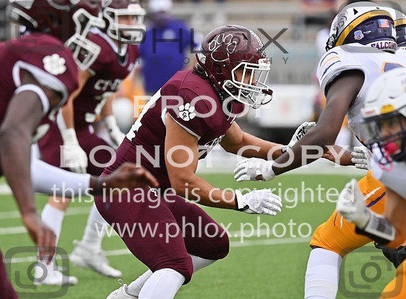DLS_0035