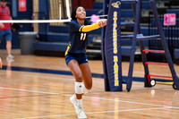 11 Morgan Reedus Cy Ranch Volleyball  10-19
