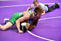 RAY_0490