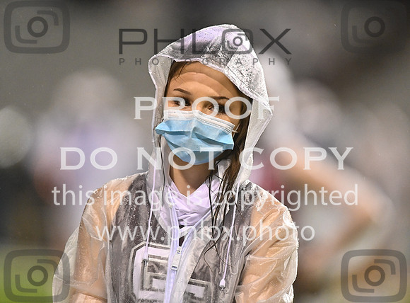 DLS_8195