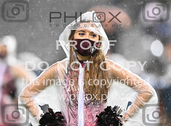 DLS_8127