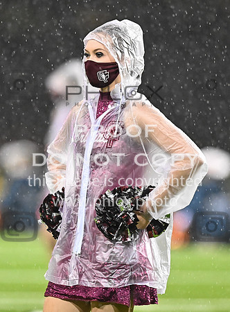 DLS_8133