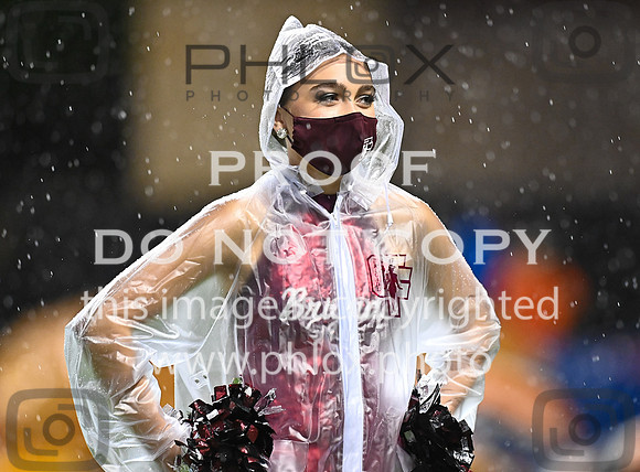 DLS_8123