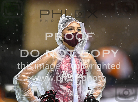 DLS_8118