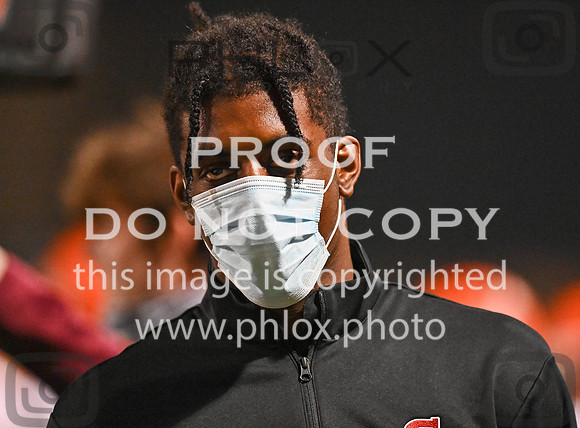 DLS_7431