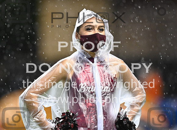 DLS_8124