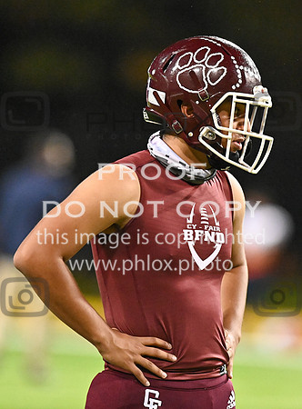 DLS_8047
