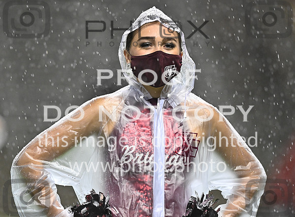DLS_8134