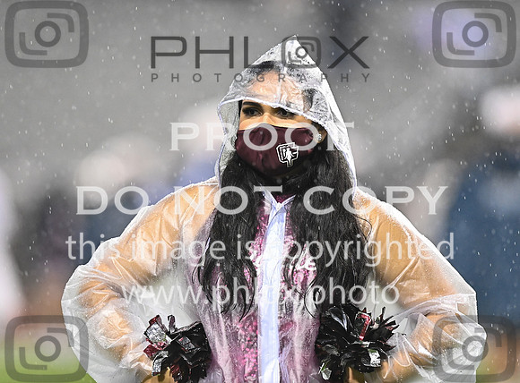 DLS_8136