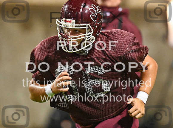 DLS_8067