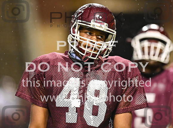 DLS_8072