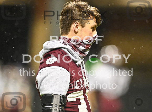 DLS_8066