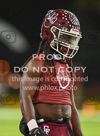 DLS_8048