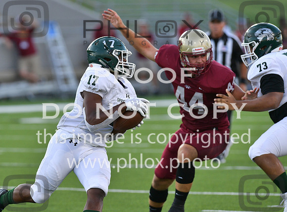 TOM_3046