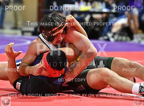 DLS_7943