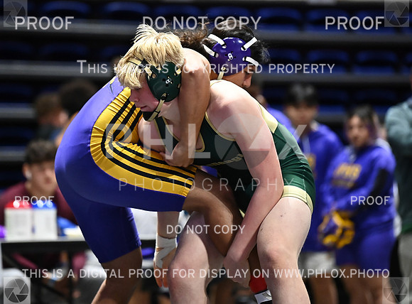 DLS_6677