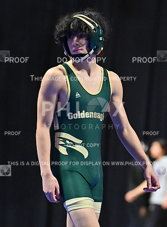 DLS_8298