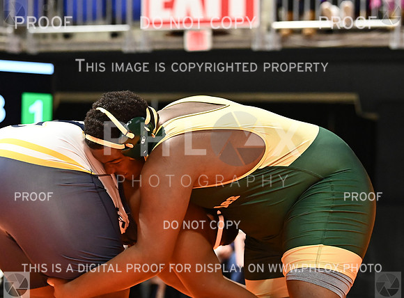 DLS_6914